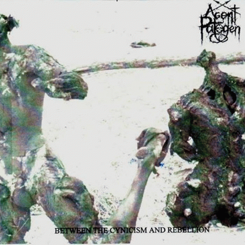 Between the Cynicism and Rebellion